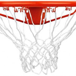 Basketbal Ring inclusief net